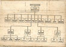 Organigrama do Governo de Transição